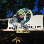 Wild bird sanctuary on route; interesting place to see tropical birds receiving rehab. (No charge, donations welcome)