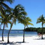 Many gorgeous beaches along the route