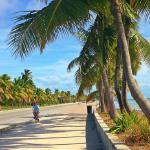 Riding in Key West from DoubleTree to downtown is scenic and easy.  Atlantic Ocean on your left!