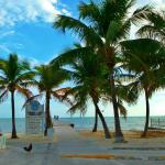 Public beach around corner from DoubleTree Hotel Key West-wild roosters love bikers